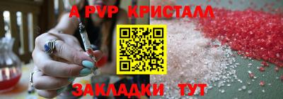 a pvp Кингисепп